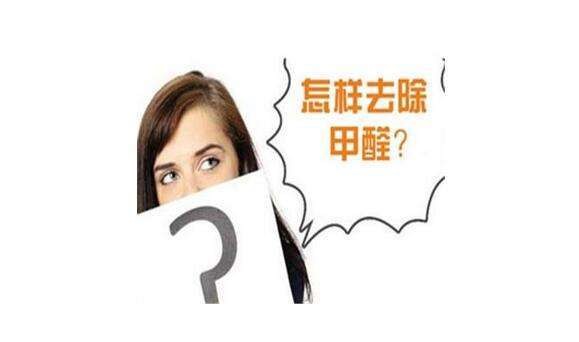 ?硅藻泥真的可以除甲醛嗎？
