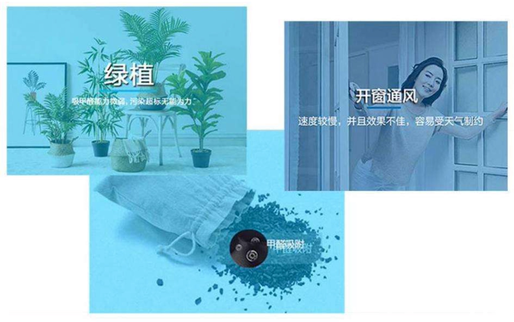 怎樣能快速除甲醛？