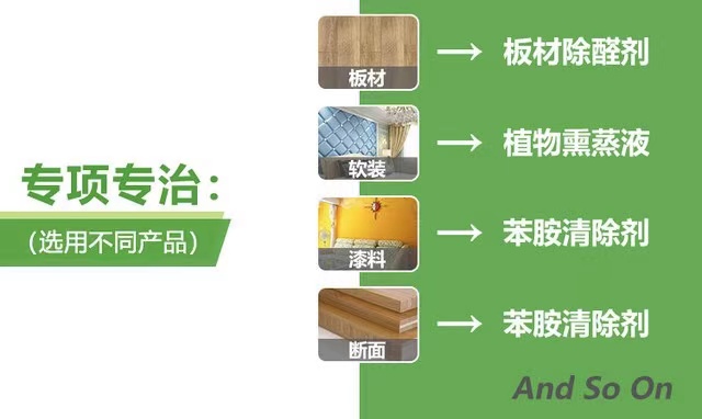 除甲醛專項專治