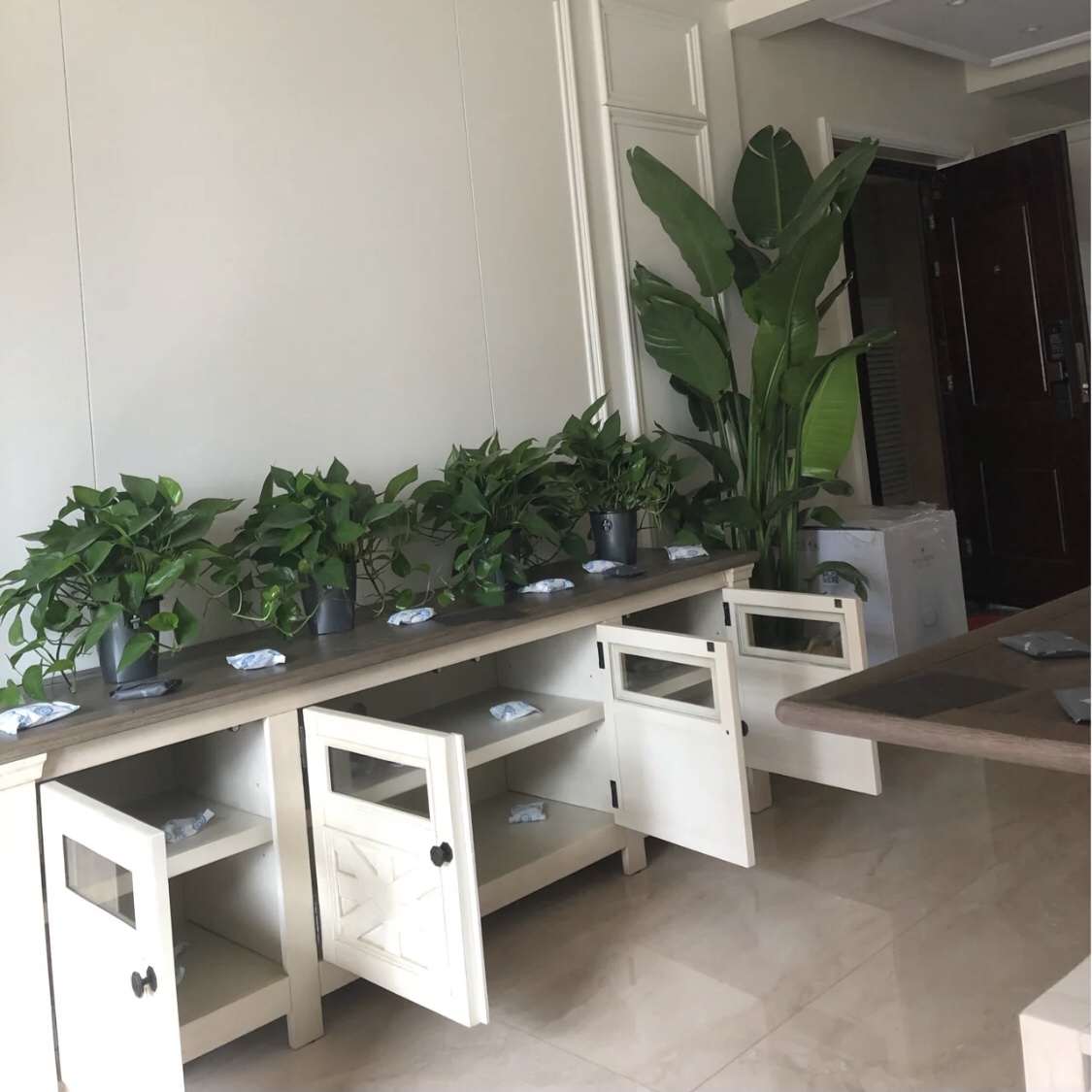 綠植吸甲醛