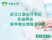 武漢江夏區(qū)東湖網(wǎng)谷辦公室除甲醛治理服務(wù)項目