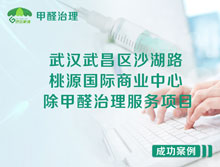 武漢武昌區(qū)桃源國際商業(yè)中心除甲醛治理服務(wù)項目