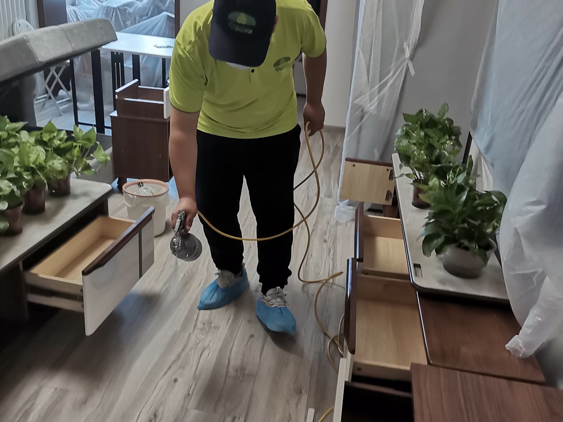 專業(yè)公司去除甲醛