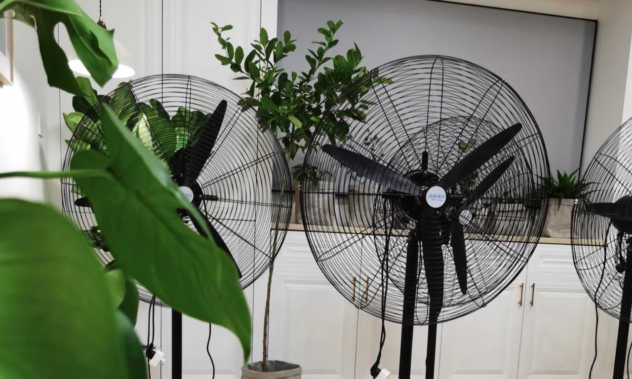 綠植通風(fēng)去除甲醛