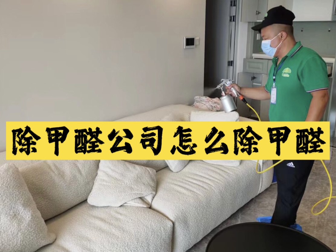 除甲醛公司怎么除甲醛？