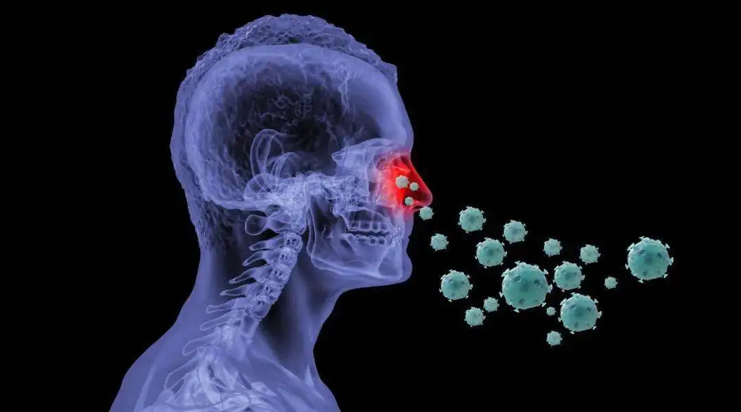 鼻病毒感染是什么引起的，日常消毒殺菌有用嗎？