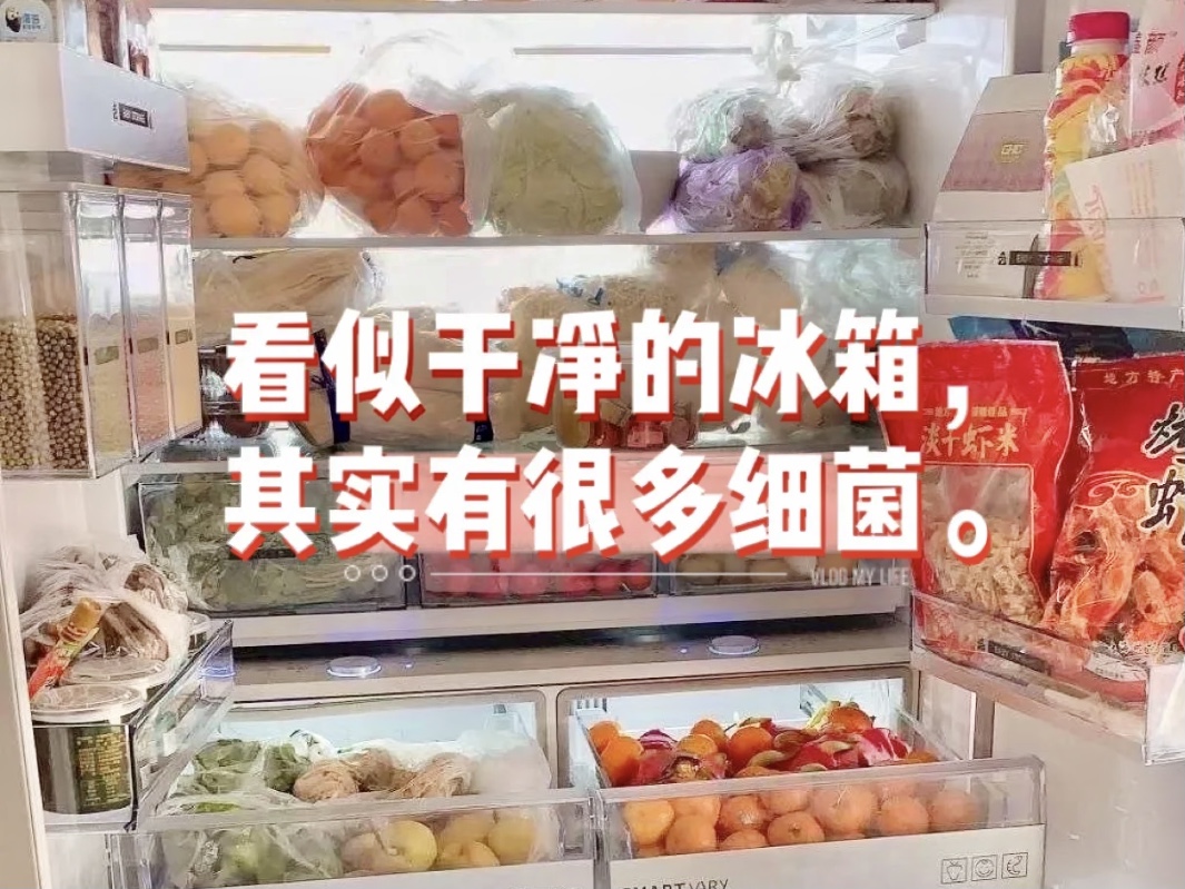 冰箱不清潔會有什么危害？