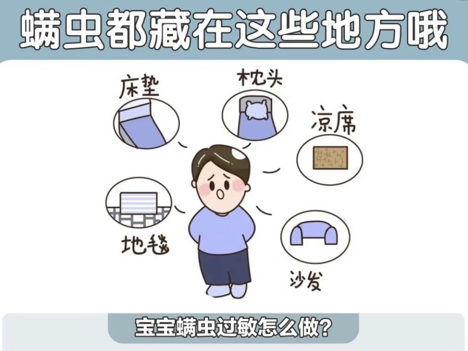 如何進行治理？