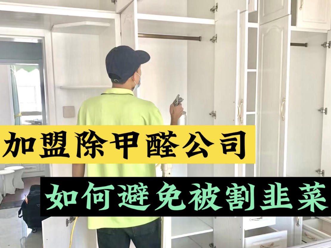 加盟除甲醛公司如何避免被割韭菜？