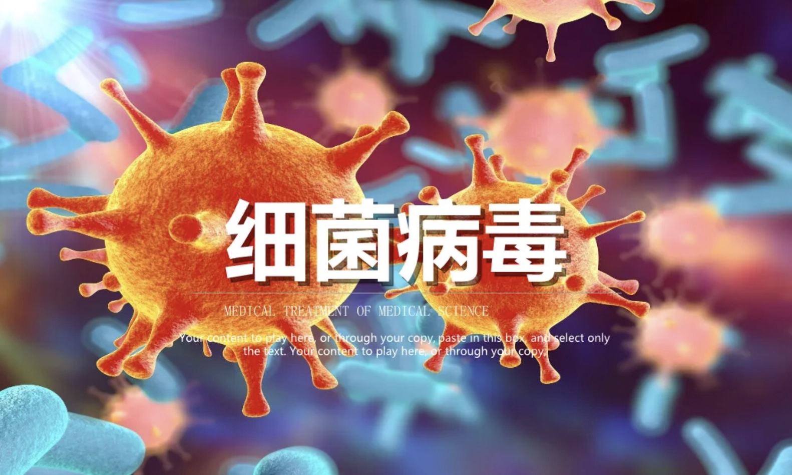 病毒、細(xì)菌