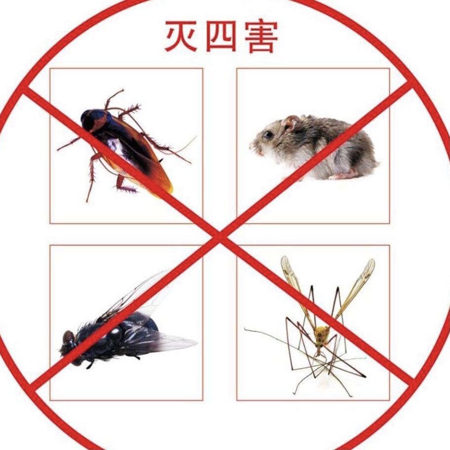蟑螂、老鼠、白蟻