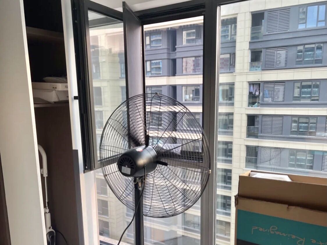 有效去除甲醛的方法有哪些？