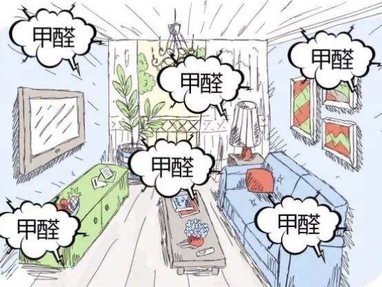 快速入住新家，除甲醛救星！