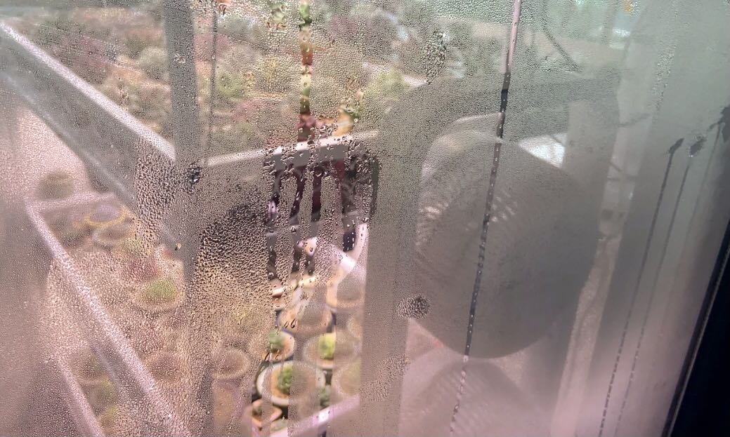 濕度過高或者過低有什么危害？
