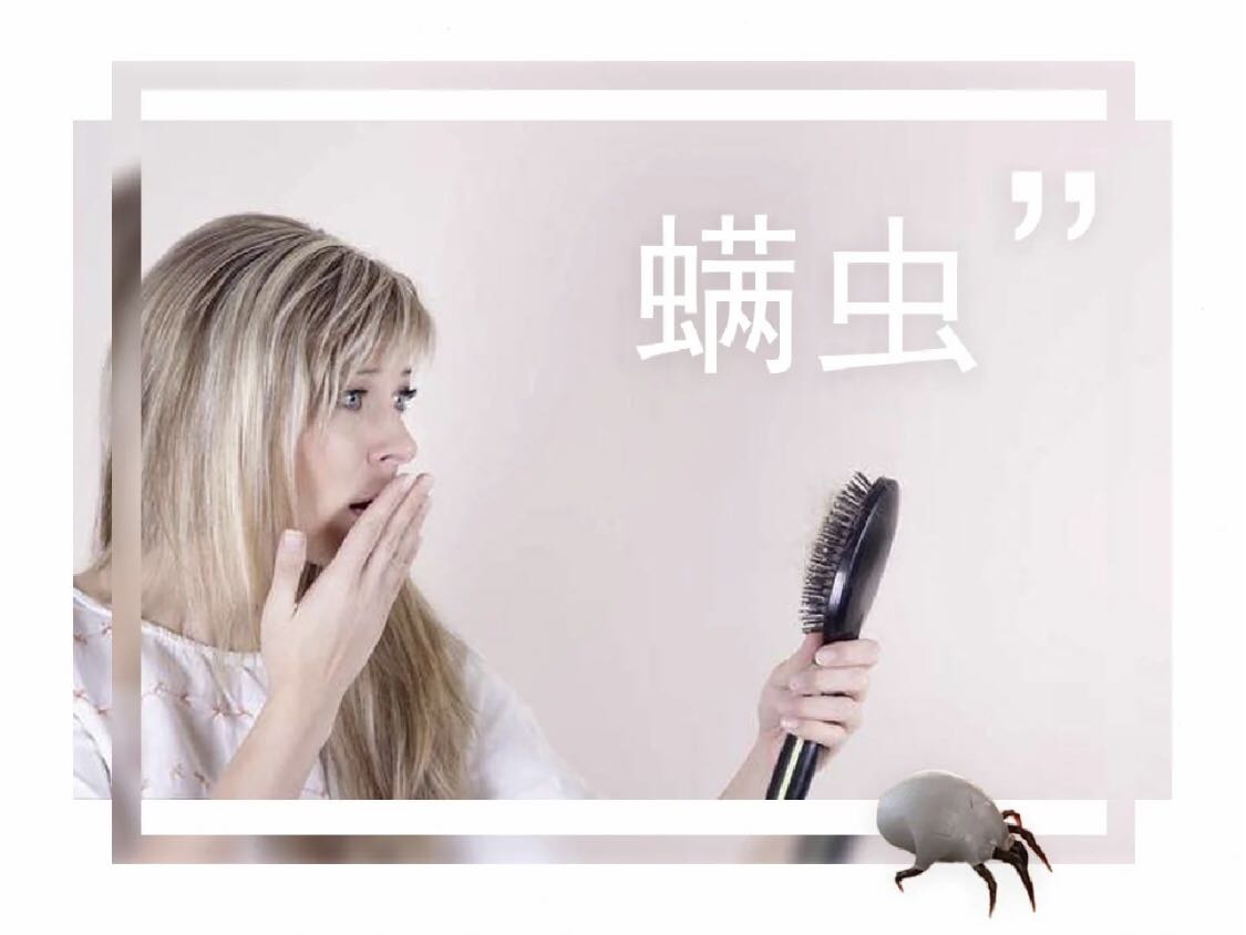 螨蟲(chóng)、微生物、微塵