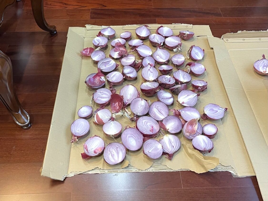 為什么不推薦洋蔥除甲醛？