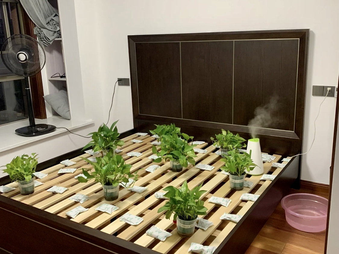 綠植、炭包對(duì)甲醛的治理有限