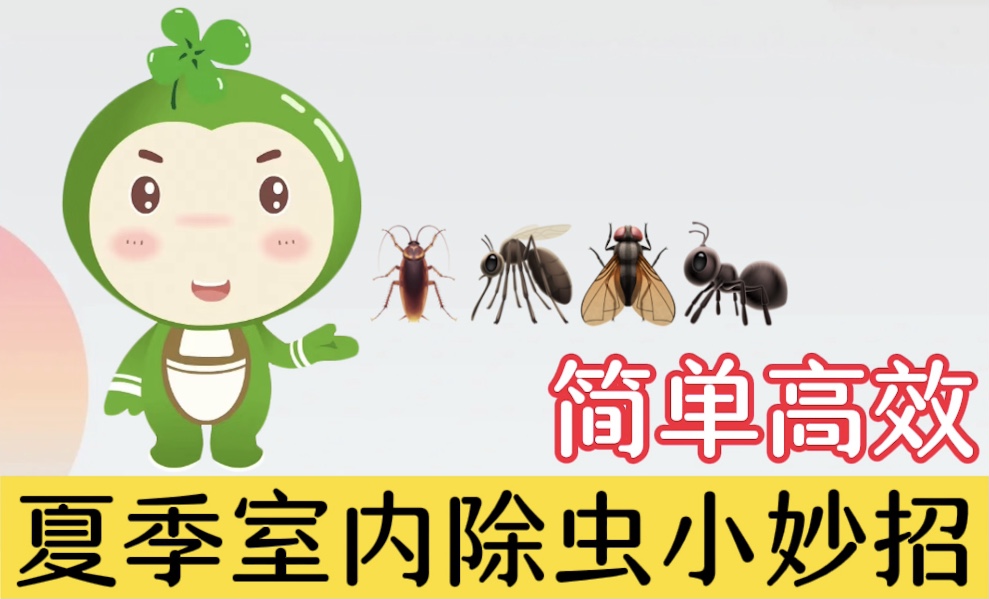 夏季室內(nèi)除蟲小妙招，簡(jiǎn)單高效