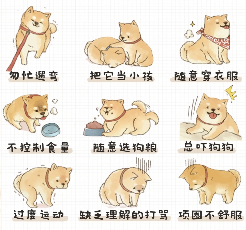 養(yǎng)綠植寵物，這些方面要注意